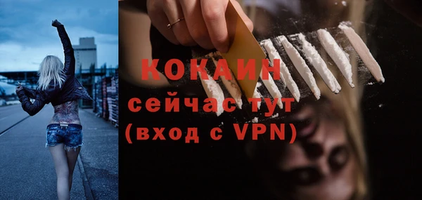 трава Пересвет