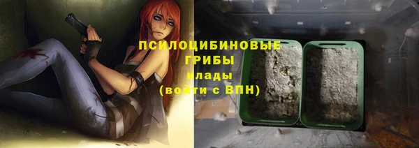 СК Абинск