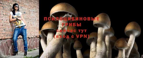 СК Абинск