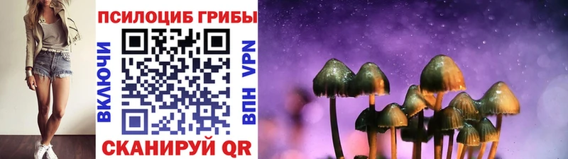 hydra ссылки продажа наркотиков Отрадный Псилоцибиновые грибы Magic Shrooms
