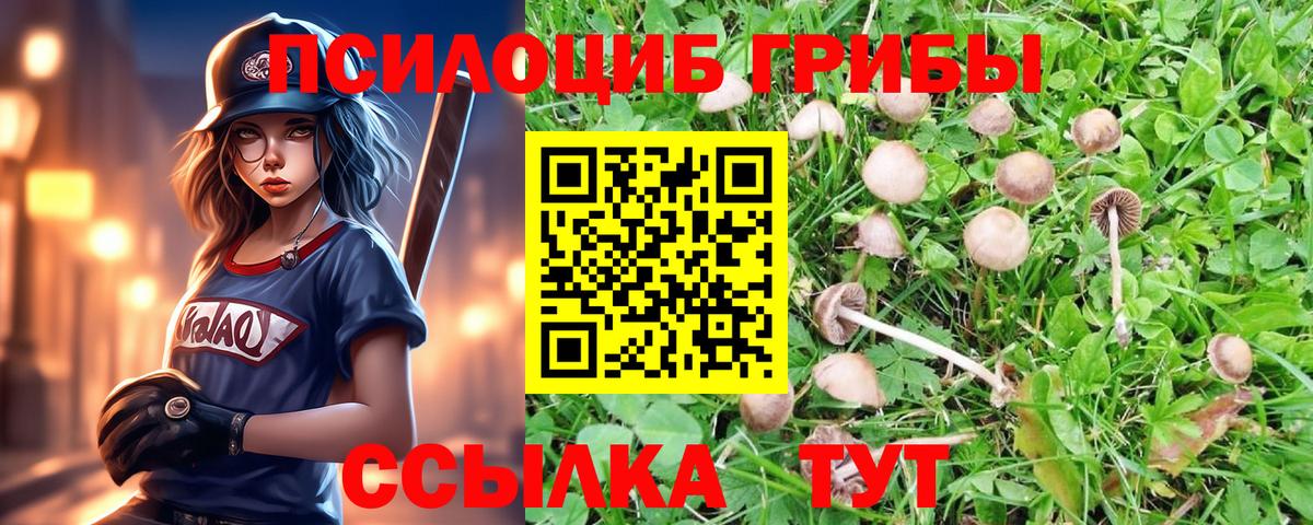 Галлюциногенные грибы MAGIC MUSHROOMS Отрадный