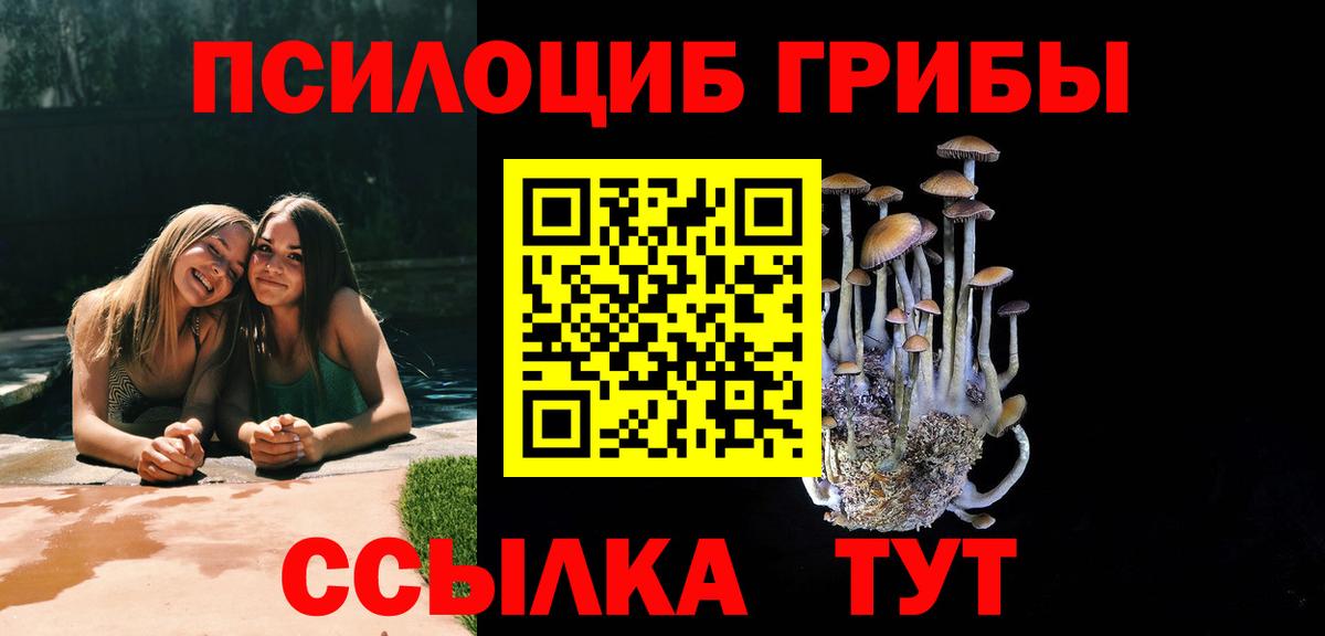 Галлюциногенные грибы MAGIC MUSHROOMS  Вход с VPN  Отрадный 