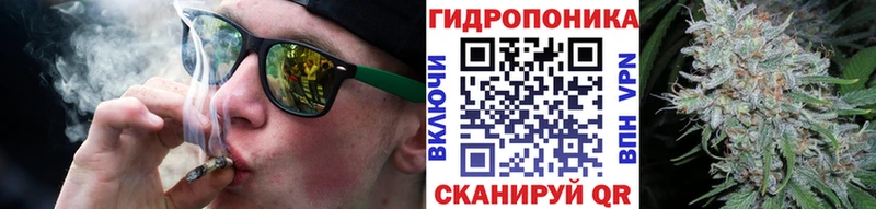 как найти   Отрадный  блэк спрут вход  Шишки марихуана сатива 